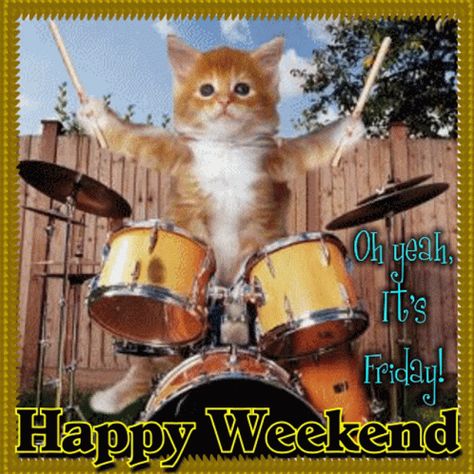 Friday Tgif GIF - Friday Tgif Happy Weekend - Discover & Share GIFs Happy Monday Gif, Happy Friday Gif, Funny Squirrel Pictures, Weekend Gif, Happy Friday Pictures, Friday Gif, Happy Weekend Images, Cute Good Morning Gif, Friday Cat