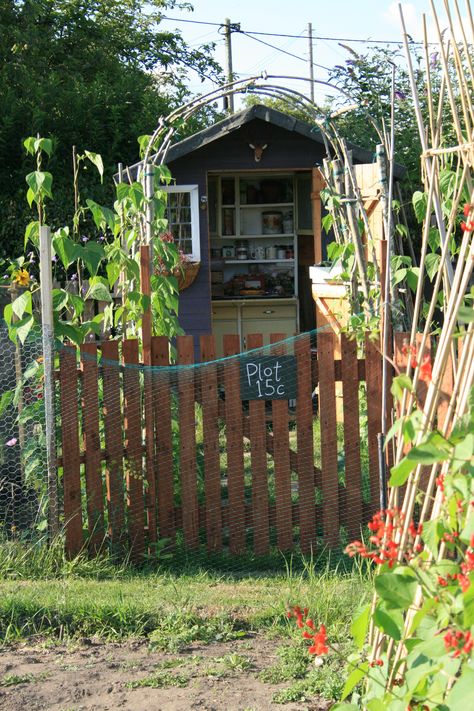 Allotment Inspiration, Backyard Garden Oasis, Allotment Shed, Allotment Ideas, Sea Nursery, Fruits And Flowers, Garden Oasis, Potting Shed, She Shed