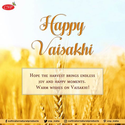 Sikh New Year, Happy Vaisakhi, Student Of The Month, Guru Gobind Singh, Harvest Season, Health Wealth, Harvest Festival, Cool Hair Color, Happy Moments