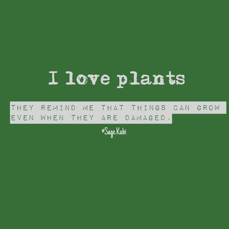 Plants remind me that things can grow even when damaged Caption For Him, Plant Quotes, Couples Night, I Love Plants, Growing Quotes, Plants Quotes, Love Plants, Canvas Art Quotes, Plants Are Friends