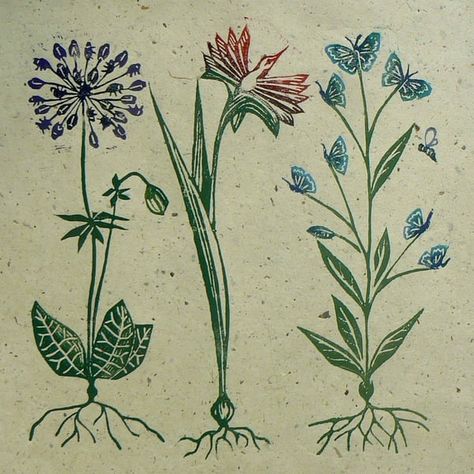 Inspired by botanical illustrations, Jane used ideas you may have already seen in her work to create three unusual plants. She named them, dandibeetle, phoenix lily and butterfluttillary. (That last one is quite a mouthful.) The flowers are handprinted on a favourite paper, handmade from lokta. The image measures approx 30cm square. Each one will be slightly different.