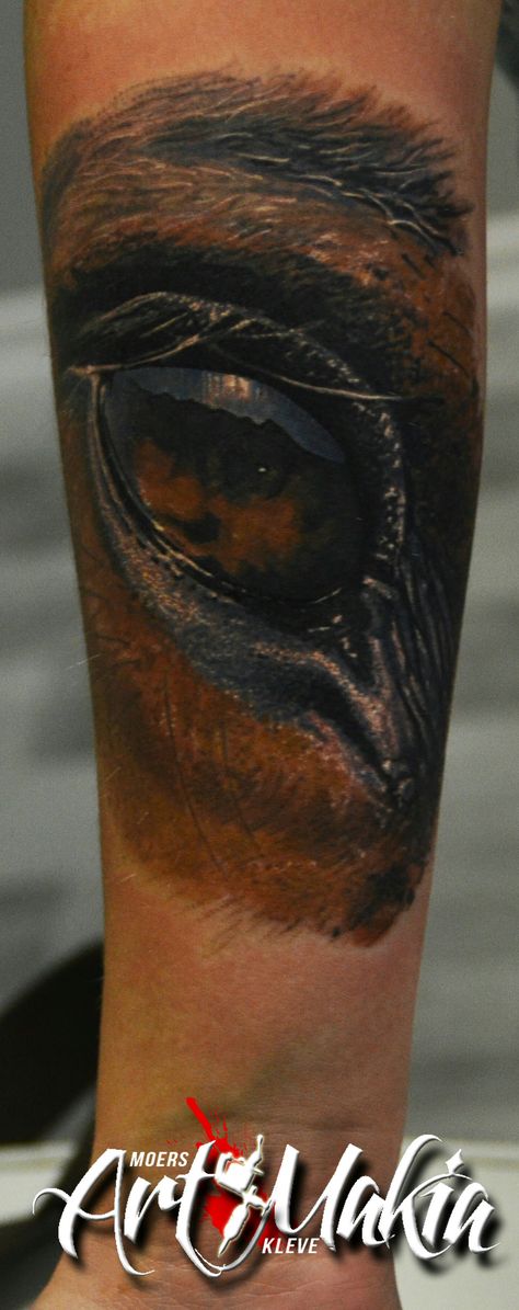 Horse eye Horse Eye Tattoo, Horse Eye, Eye Tattoo, Portrait Tattoo, Horses, Tattoos