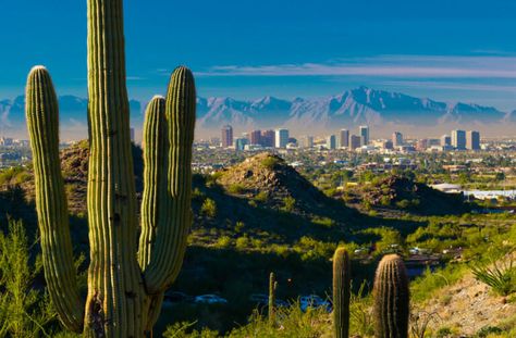 50 Cities to watch for Real Estate - 2019 Phoenix With Kids, Phoenix Skyline, Phoenix Usa, Phoenix Homes, Sedona Az, Sonoran Desert, Phoenix Arizona, Tourist Destinations, Real Estate Marketing