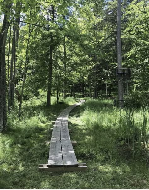 Backyard Trails Pathways Woods, Wood Plank Pathway, Garden Cabin Ideas, Wood Trails Pathways, Wooded Trail Pathways, Path Through Forest, Wood Walkway, Boardwalk Nature Trail, Wooden Path