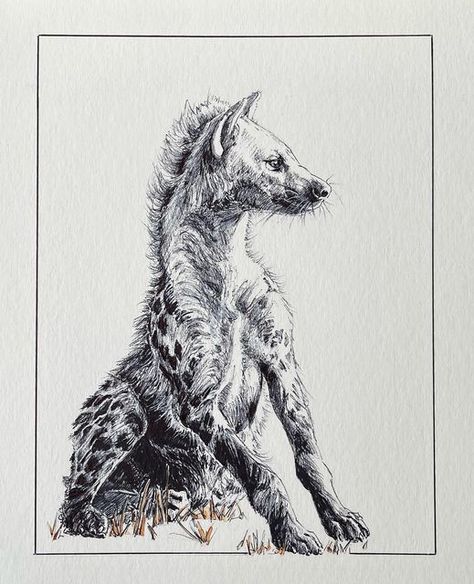 Hyena Snarling, Hyena Skeleton, Hyena Tattoo Designs, Hyena Sketch, Hyena Painting, Hyena Drawing, Hyena Art, Hyena Tattoo, Itachi Uchiha Art