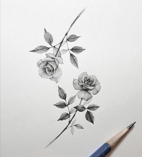 Realistic Rose Tattoo, Rose Flower Tattoos, Petit Tattoo, Rose Tattoos For Women, Flower Tattoo Drawings, Small Rose Tattoo, Realistic Rose, Tattoo Graphic, Flower Art Drawing