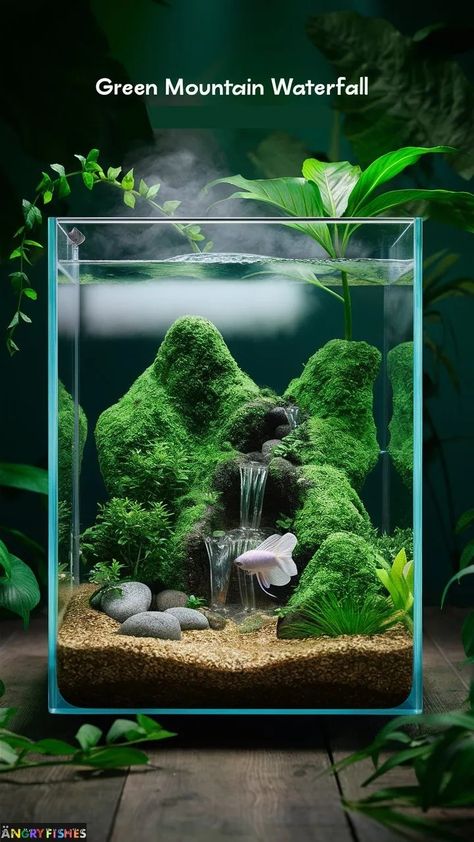 Aquarium Tank Design, Fairy Fish Tank, Aquarium Tank Ideas, Fish Tank Set Up Ideas, Goldfish Tank Aesthetic, Plant Aquarium Ideas, Mini Aquarium Ideas, Betta Fish Aesthetic, Aquarium Setup Ideas