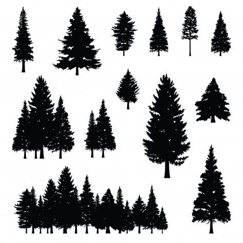 Coniferous pine fir conifer tree forest silhouette Premium Vector Pine Tree Silhouette, Tree Camping, Forest Silhouette, Tree Textures, Forest Tattoos, Conifer Trees, Tree Images, Aspen Trees, Black Tree