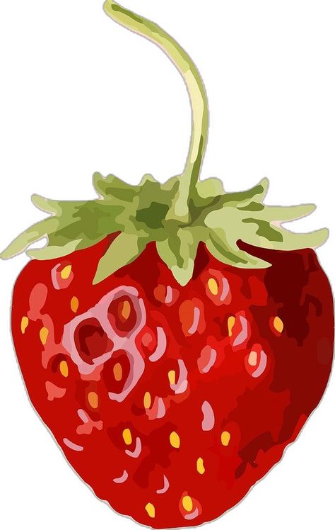 Strawberry Vector, Sticker Overlay, Strawberry Illustration, Illustration Fruit, Strawberry Drawing, Strawberry Png, Strawberry Art, Fruits Drawing, Jar Packaging