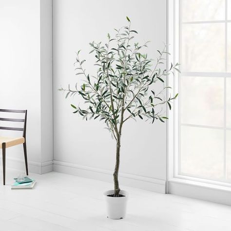 Faux Potted Green Olive Tree - 6' | West Elm (US) Olive Plant, Faux Olive Tree, Ficus Tree, Topiary Trees, White Planters, Artificial Trees, Pillows Flowers, Artificial Tree, Real Plants