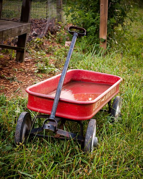 Little Red Wagon by Karol A Olson, via Flickr Red Wagon Photo Shoot, Red Flyer Wagon, Metal Wagon, Pull Wagon, Red Wagon, Ap Art, Calvin And Hobbes, Inner Child, Family Session