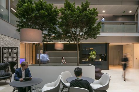 CBRE Offices – London. Atrium. Breakout area seating. Lobby Plants, Office Atrium, Commercial Reception, Cool Office Ideas, Classic Entrance, Office Inspiration Workspaces, Lobby Designs, Modern Lobby, Lobby Lighting