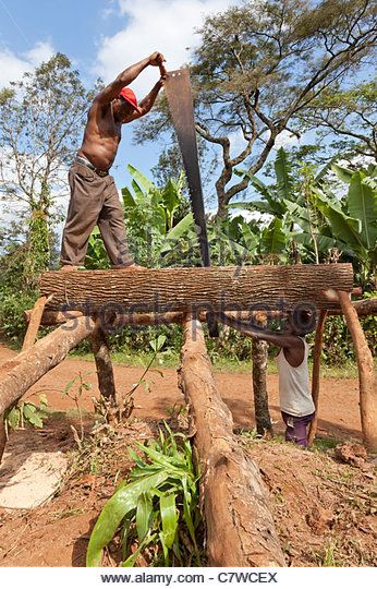 Person With Chainsaw Reference, Woodmizer Sawmill, Japanese Saw Till, Old Logging Photos, Antique Woodworking Tools Viking, Doomsday Prepping, African Children, Working People, Saws