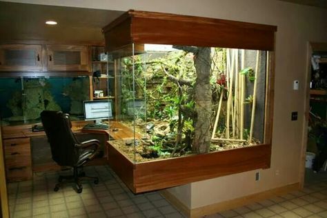 I would love this office space! Snake Enclosure, Reptile House, Cool Office Space, Reptile Room, Glass Aquarium, Reptile Terrarium, Reptile Cage, Reptile Habitat, Reptile Enclosure