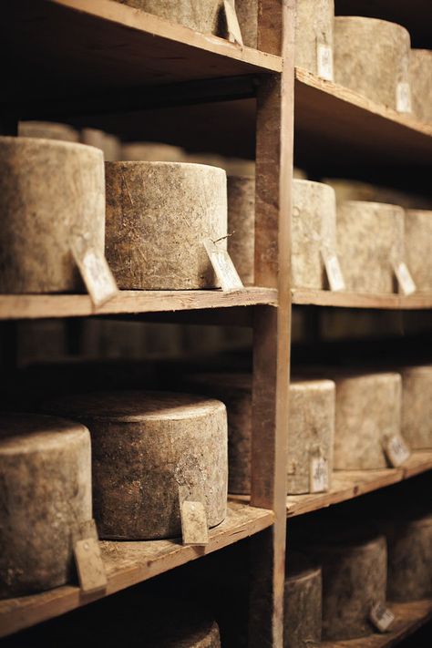 Traditional Somerset Cheesemakers - Westcombe Dairy - Dairy Snacks, Farm Fresh Milk, Dairy Desserts, Cheese Maker, Somerset England, Dairy Drinks, Types Of Cheese, Artisan Cheese, No Dairy Recipes