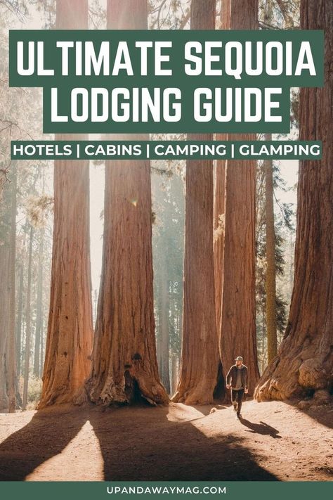 Man standing in front of a grove of giant Sequoia trees with text reading "Ultimate Sequoia Lodging Guide - Hotels, Cabins, Camping, Glamping" Where To Stay In Sequoia National Park, Sequoia Camping, National Park Lodges, Kings Canyon National Park, California Vacation, Kings Canyon, Cabin Camping, Breathtaking Places, Sequoia National Park