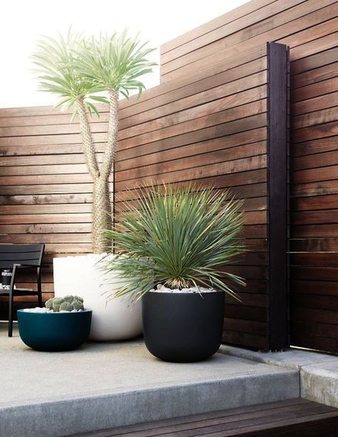 Terrace Shade, Diy Garden Patio, Garden Patio Decor, Courtyard Design, Landscape Plans, Backyard Garden Design, Wooden Fence, Diy Landscaping, House Roof