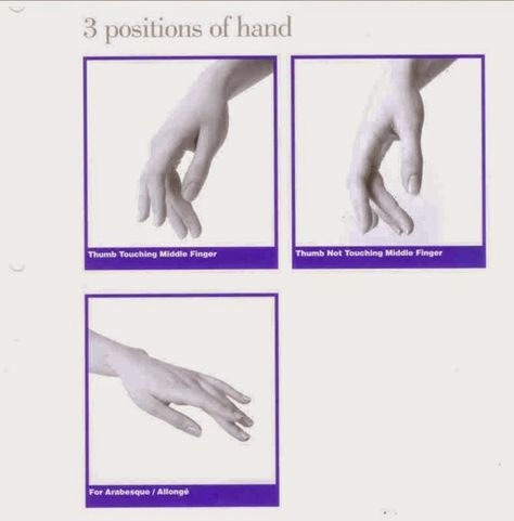 The Late Ballerina: Ballet Hands Ballet Arm Positions, Ballet Hands, Graceful Hands, Ballerina Hands, Ballet Barre Workout, Ballet Basics, Ballerina Workout, Ballerina Poses, Ballet Designs