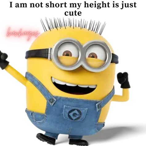 Short Memes, Short Person, Instagram Jokes, Short Humor, Men Quotes, Follow Instagram, Bring Happiness, Funny Posts, Short Girls