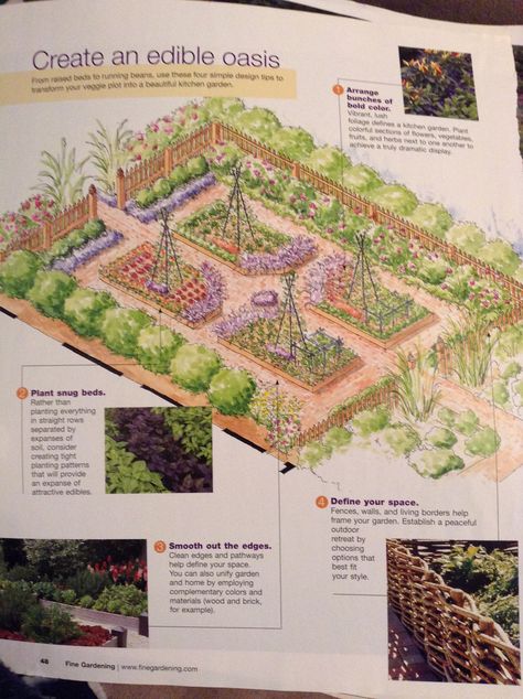 Garden Plots Layout, Garden Layout Ideas Vegetable, Perfect Garden Layout, Vegetable Garden Layout Design, Vegetable Garden Layout, Garden 2023, Dig Gardens, Vegetable Garden Raised Beds, Backyard Garden Layout