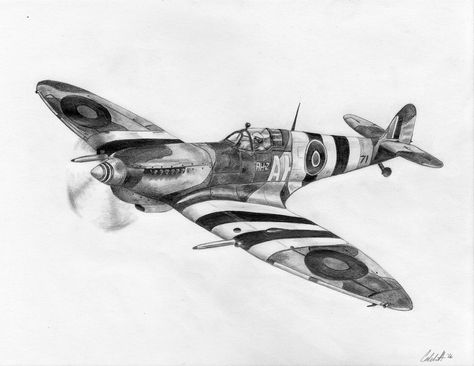 Spitfire Tattoo, Aviation Tattoo, Spitfire Plane, Pilot Tattoo, Tiger Head Tattoo, Plane Tattoo, Journal 2024, Remembrance Tattoos, Head Tattoo