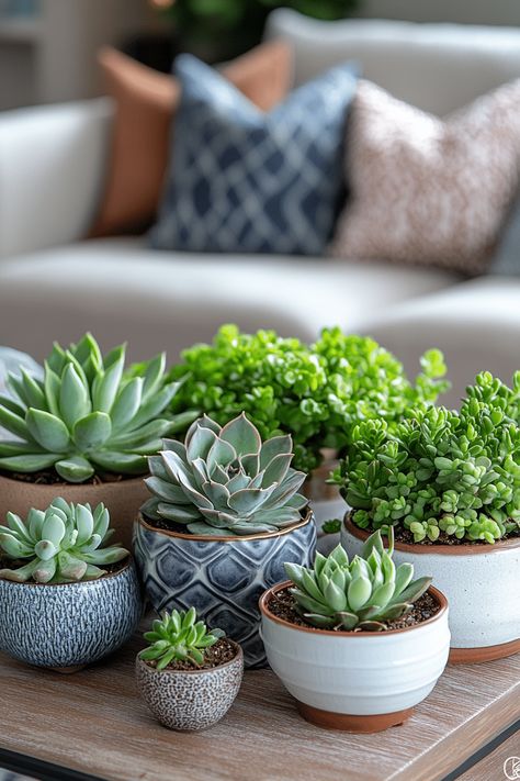 19 Creative Indoor Gardening Ideas You'll Adore Small Succulent Arrangements, Kitchen Window Herb Garden, Window Herb Garden, Indoor Gardening Ideas, Aquatic Garden, Indoor Water Garden, Garden Nook, Window Plants, Geometric Planter