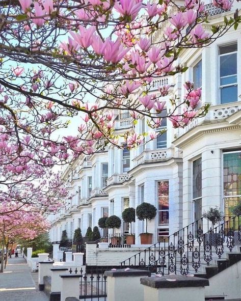 Instagram Places, Notting Hill London, London Townhouse, London House, Voyage Europe, London Town, London Calling, London Street, London Life