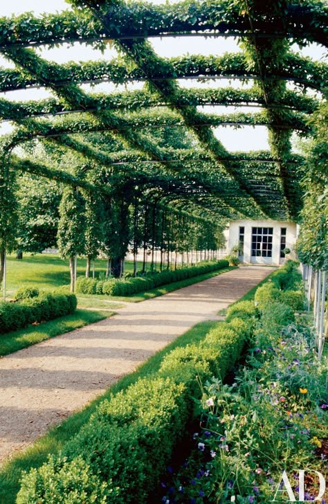 At Oak Spring, ‘Mary Potter’ crab apples are cordoned over a pergola that leads from the walled garden to the greenhouses (doors shown). Crab Apples, Backdrop Diy, Grass Wall, Garden Vines, Garden Walkway, Garden Drawing, Backdrop Wedding, Walled Garden, Have Inspiration