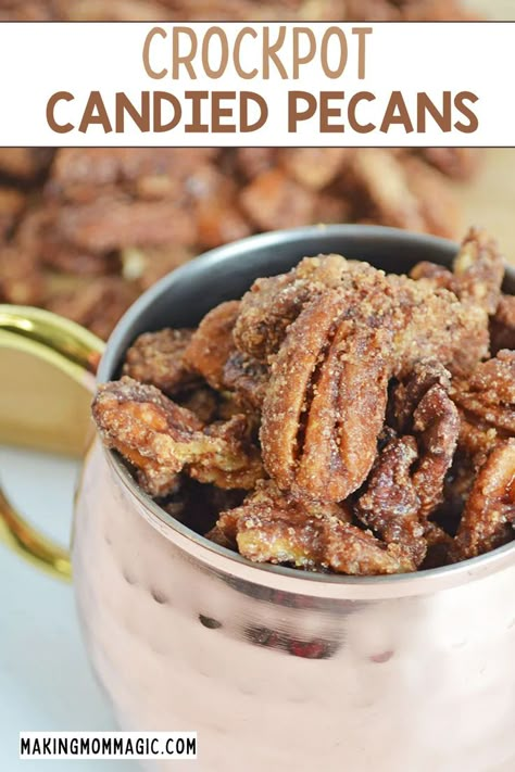 These delicious Crockpot Candied Pecans are the perfect holiday treat! They're so simple to make and will be a huge hit for holiday parties. Crockpot Candy Pecans, Charcuterie Pairings, Pecan Banana Bread, Crockpot Candy Recipes, Yam Recipes, Cooking Bananas, Banana Pecan Bread, Candied Pecans Recipe, Fudge Dessert