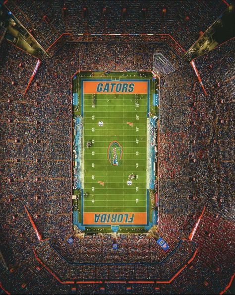 Florida Gators stadium overhead University Inspiration, Florida Football, Future School, Football Pictures, University Of Florida, Florida Gators, Future Life, D 2, I School