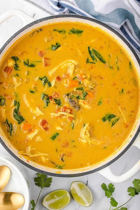 Curried Chicken And Rice Soup, One Pot Thai Coconut Curry Turkey Soup, Spicy Coconut Chicken Soup, Veggie Curry Soup, Turmeric Chicken Soup Recipes, Yellow Curry Chicken Soup, Coconut Cream Tomato Soup, Tia Chicken Curry Soup, Chicken Thigh Recipes Soups