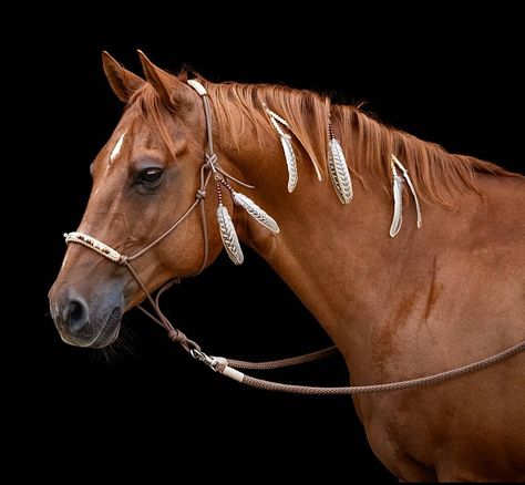 Indian Horse Costume, Western Horse Mane Ideas, Horse Tack Diy, Horse Braiding, Dream Horse Barns, Indian Horses, Reining Horses, Western Bridles, Horse Mane