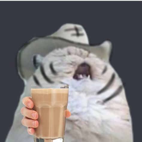 Aster Drawing, Chocolate Meme, Choccy Milk, Funny Reaction, Cat Meme, Funny Reaction Pictures, Reaction Pictures, Milk Glass, Cat Memes