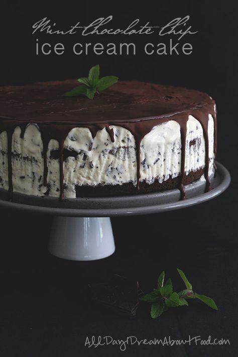 Low Carb Mint Chocolate Chip Ice Cream Cake - All Day I Dream About Food.  MUST. MAKE. SOON. Chocolate Chip Ice Cream Cake, Mint Ice Cream Cake, Mint Chocolate Chip Ice Cream Cake, Low Carb Ice Cream Recipe, Mint Chip Ice Cream, Gluten Free Chocolate Cake, Low Carb Ice Cream, Ice Cream Cake Recipe, Low Carb Cake