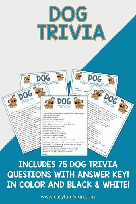 Do you consider yourself a dog expert? From the Chihuahua to the Great Dane, there is much to love and learn about our four-legged family members. Whether you’re in it for fun or trying to brush up on your dog knowledge, let’s test your brain with these dog trivia questions and answers! Even trivia games can be used in educational and social ways. Download and print the dog trivia questions and use them to test your child’s knowledge, and then take them to the library to discover even more about Dog Trivia Questions And Answers, Recreation Therapist, Dog Trivia, Dog Knowledge, Family Friendly Dogs, The Great Dane, Questions With Answers, Card Making Templates, Trivia Questions And Answers