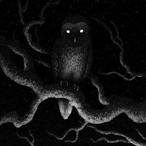 Creepy Owl Art, Scary Owl, Spirit Drawing, Scary Drawings, Black Owl, Owl Illustration, Dark Images, Macabre Art, Owls Drawing