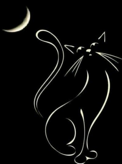 Animal Digital Drawing | kamal | PENUP God Night, Tattoo Dark, Cat Tattoo Designs, Drawing Tattoo, Black Cat Art, Cat Quilt, Cat Silhouette, Cat Crafts, Chalkboard Art