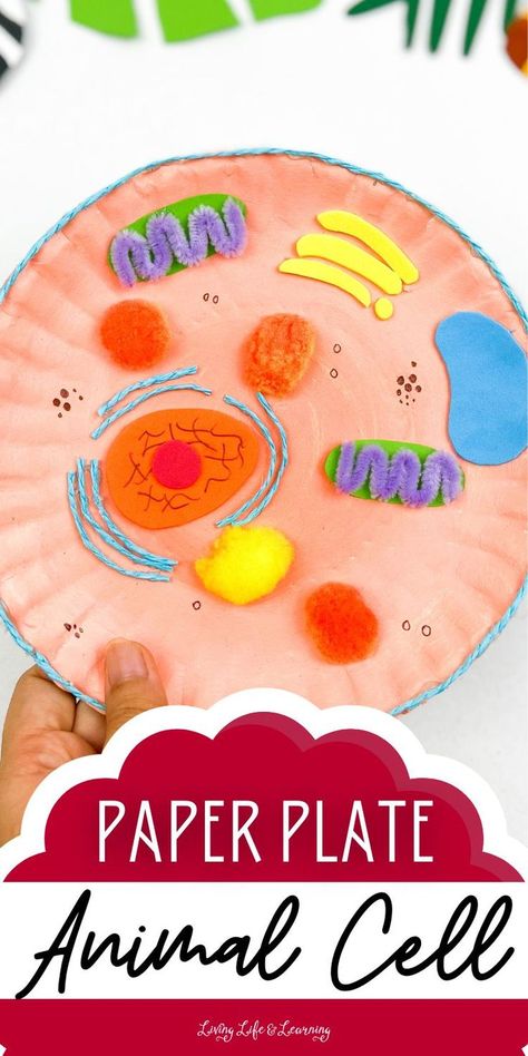 Paper Plate Animal Cell Making A Cell Science Projects, How To Make A Cell Model, How To Teach About Cells, Paper Plate Cell Model, Making A Cell Model, Diy Cell Model, Parts Of A Cell Project, Parts Of A Cell Activity, 3d Animal Cell Project Ideas