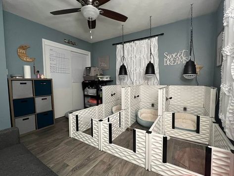 Dog Play Area Indoor Home, Dog Whelping Room, Dog Breeder Setup Indoor, Indoor Dog Rooms, Foster Dog Set Up, Dog Breeding Room, Puppy Nursery For Dogs, Foster Dog Room, Dog Whelping Room Ideas