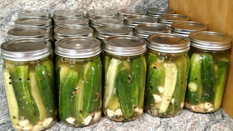 Pickles Homemade Easy, Claussen Pickles, Canning Pickles Recipe, Dill Pickles Recipe, Refrigerator Pickle Recipes, Garlic Dill Pickles, Pickle Recipes Homemade, Canning Salt, Dill Pickle Recipe