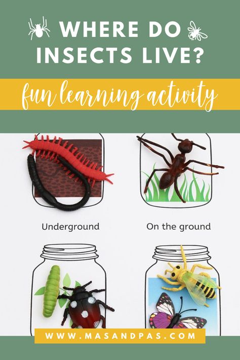 This free printable game will help teach kids about insects and where they come from. It is an awesome learning activity for teaching toddlers, little kids and preschoolers about nature! #teachingchildren #learninggame #educationalgame #insects #preschool Bugs And Insects Preschool Science, Bugs Activities For Preschoolers, Bugs Montessori Activities, Insect Sorting Preschool, Insects For Preschoolers, Insect Habitats Preschool, Insects Preschool Activities Science, Insect Study Creative Curriculum Preschool, Minibeasts Preschool Activities