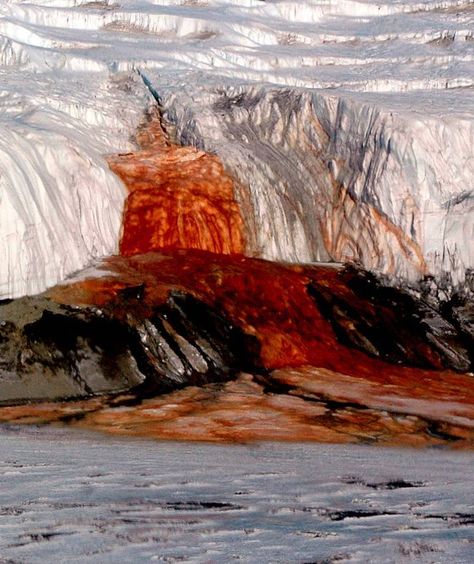 Blood Falls Antarctica, Antarctica Travel, Blood Art, Water Falls, Vacation Tops, Vacation Inspiration, Photography Competitions, Natural Phenomena, Naturally Beautiful