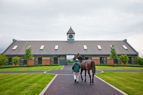 Luxury Horse Barns, Equestrian Stables, Stud Farm, Belmont Park, Sheikh Mohammed, Derby Horse, Thoroughbred Horse Racing, Dream Barn, Thoroughbred Horse