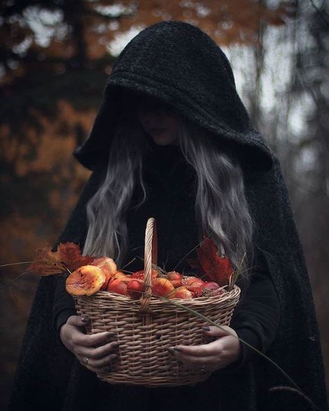 Forest Witch Photoshoot, Samhain Photoshoot, Autumn Witch Aesthetic, Mabon Aesthetic, Witchy Shoot, Forest Shoot, Winter Witch, Moon Board, Pumpkin Field