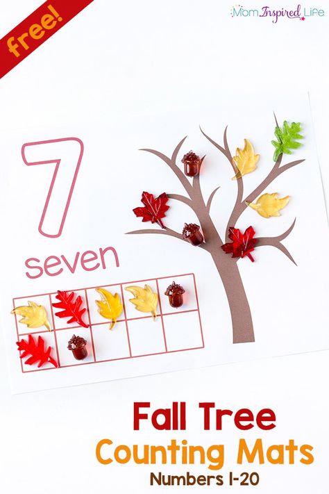 Fall tree counting mats for learning numbers 1-20. Perfect for fall math centers in preschool or kindergarten. Fall Math Centers, Counting Mats, Fall Centers, Fall Preschool Activities, Learn Numbers, Math Activities For Kids, Fall Math, Tree Study, Fall Kindergarten