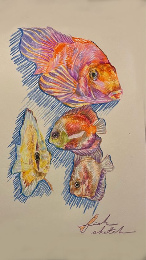 aesthetic drawing, art inspo, sketch inspo, pencil crayon sketch, colorful sketch, realistic style sketch, fish drawing, ap art, advanced art inspo, art portfolio inspo, daily sketch inspo Underwater Colored Pencil Drawing, Easy Drawing Colored Pencils, Coloring Pencils Art, Color Pencils Sketch, Pencil Color Art Aesthetic, Colored Pencil Fish Drawing, Fish Gcse Art, Colored Pencil Sea Animals, Koi Fish Colored Pencil