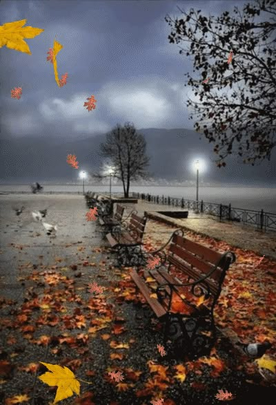 Rain Gifs, Fall Gif, Rain Song, Relaxing Rain Sounds, Rain Pictures, I Love Rain, Leaves Falling, Autumn Rain, Garden Pictures