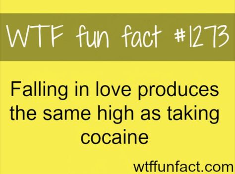 Fun Facts About Love, Facts About Love, What The Fact, Mind Blowing Facts, Love Facts, True Facts, The More You Know, Psychology Facts, Life Facts