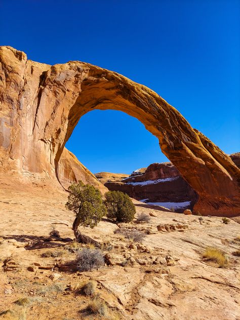 Corona Arch trail. Moab, UT. 2021 National Parks Photography, Utah Photography, Utah Travel, Arizona Travel, Photo Reference, Model Trains, Travel Around The World, Travel Around, Travel Usa