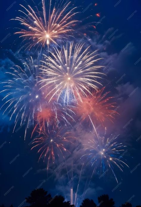 Premium Photo | Fireworks in the night sky The Night Sky, Premium Photo, Night Sky, Night Skies, Fireworks, Stock Photos